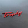 3D Metal Trophy Letters Logo Emblem Trunk Badge Auto Decals Rear Side Stickers For MG 6 Morris 3 ZS ZT GS TF GT ZR TF WW31