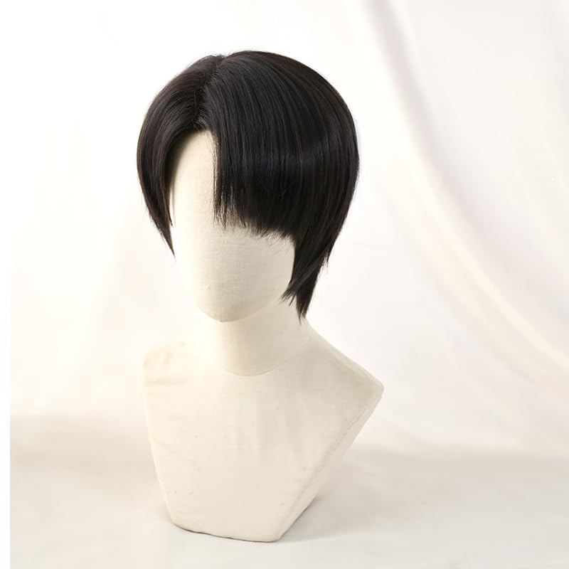 SUNXXCOS Attack on Titan Cosplay Wig, Heat-Resistant Wig, Costume Accessory (Levi Wig)