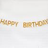 Happy Birthday Spiegel Party Banner