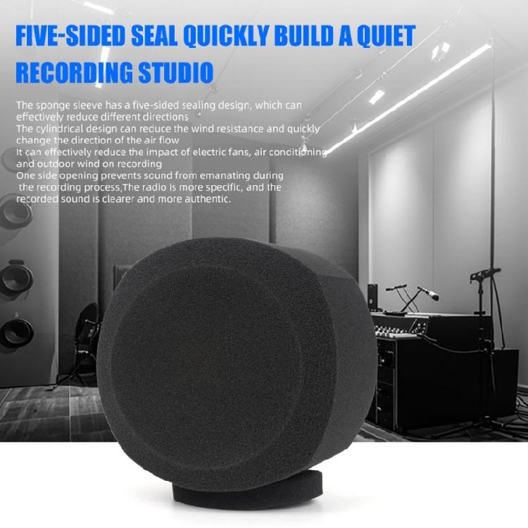 Microphones Foam Cover Sponge Windscreen for Musicians and Broadcasters Black