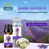Parfumerie – Uleiuri esențiale