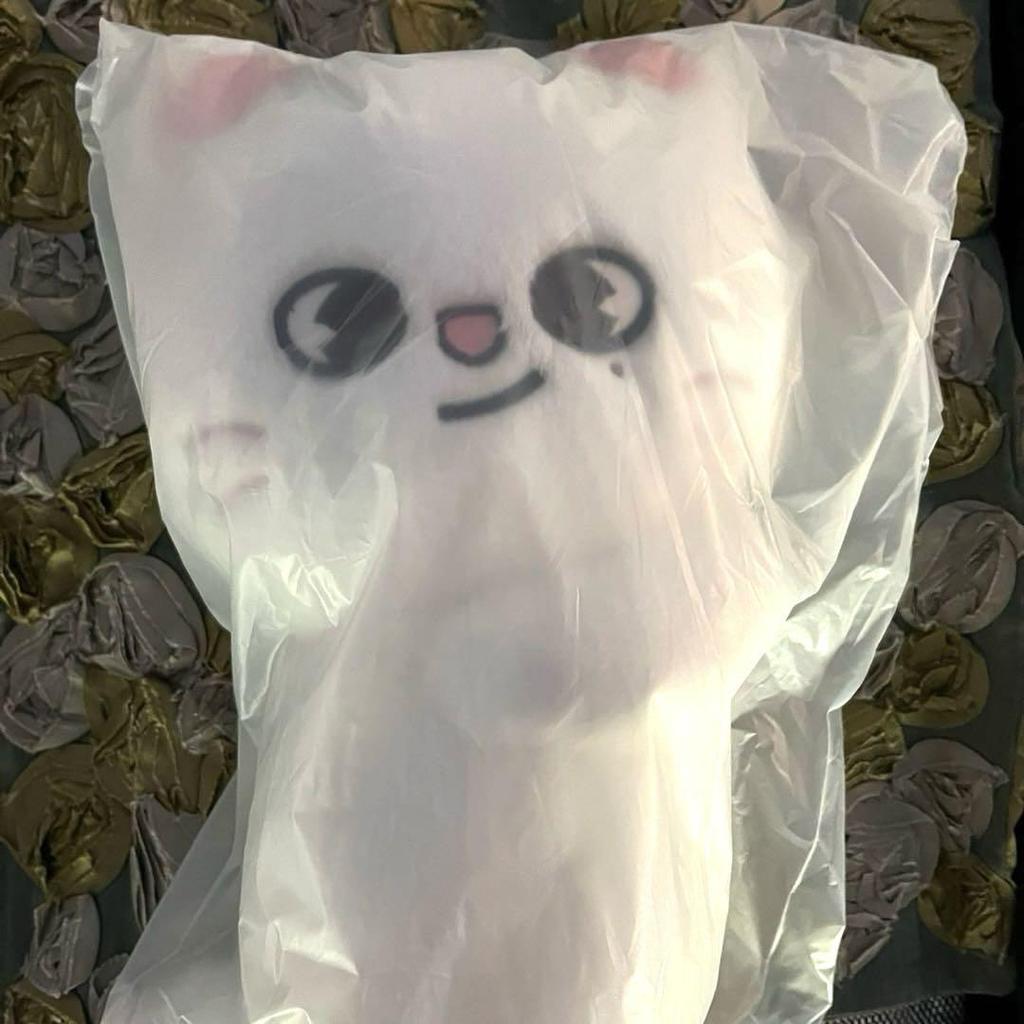 [USED] Stray Kids Pop-Up Plush Bag Hyunjin
