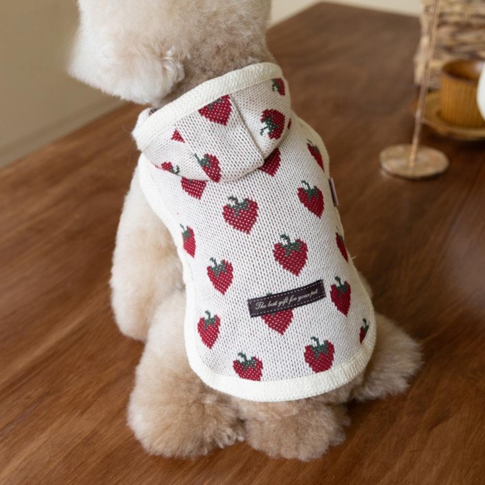 Pet Winter/Autumn Warm Hoodie Pet Strawberry Cloak Teddy Cute Coat Dog Clothes for Small Dogs Puppy Clothes