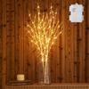 Hairui White Birch Branch String 100 Ambient Stylish Nordic Timer White Not Lights, 80cm, LEDs, Battery-Operated, Lighting, Style, Function,