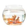 Transparent Plastic Desktop Turtle & Betta Fish Tank - Round Ornamental Aquarium for Home or Office