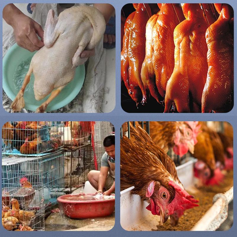 5W Plucker Chicken Duck Feathers Electric De-Trimming Steak Killing Ducks Geese Poultry Dehairing Machine Plucking Machine