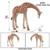 Wild Safari Animal Figurines: Giraffe, Elephant, Rhinoceros, Brown Bear, Tiger, Lion, Leopard, Hippopotamus - Solid Cognitive Toys
