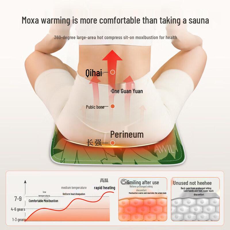 Aixutang Electric Heated Herbal Seat Cushion