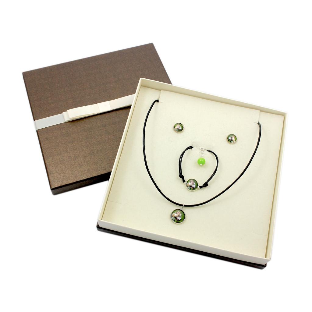 Pit Bull, American Pit Bull Terrier, Pitbull Terrier, APBT – A set of jewelry in a box, necklace | Art-Dog