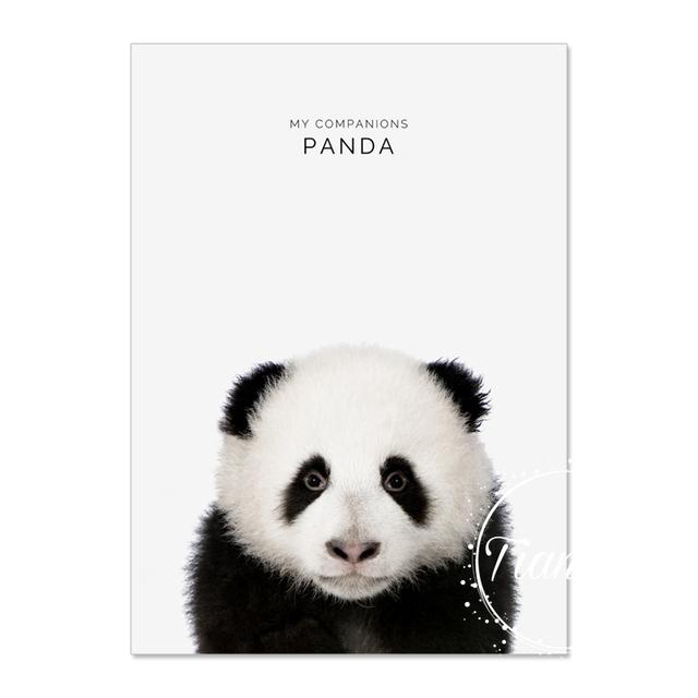 Animal Decoration Sheets Picture Wall Art Poster Children's Canvases Room Paintings For Nursery Decorative Prints Wall Posters No Frame