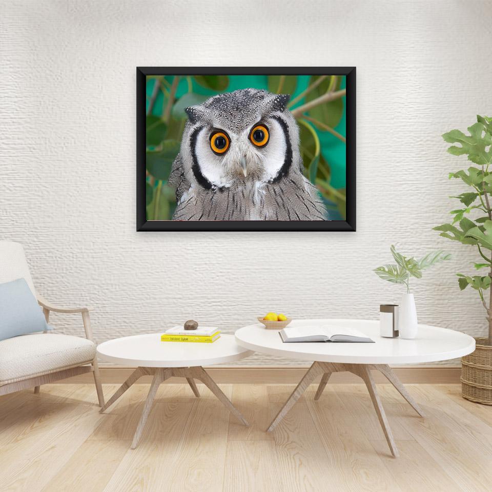 DIY 5D Diamond Painting Full Round Drill Eagle Diamond Embroidery Mosaic Cross Stitch Animal Rhinestone Wall Art Home Decor