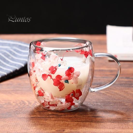 Double Wall Glass Floral Mug 250ml/350ml Clear Aesthetic Drink Cup with Insulated Handle Real Flower Decoration Double Layered Heat Preserving