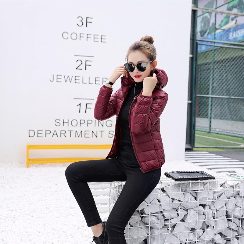 Women's Down Jacket Climbing Sportswear Hiking Down Coat Warm Sports Camping Outing