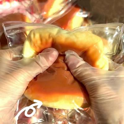 Taba Jouet Squishy Mochi à Presser Gâteau Jouet Patte de Chat Mignonne Antistress Soulagement du Stress Jouet Fidget Pour Adulte Enfant Rebond Lent Jouet Sensoriel