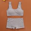 Pantie and Bra Girls Underwear Vest Development Teens Suit Pure Cotton Vest Double Layer Hipster Pub
