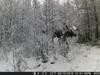 Hunting Camera Trail Cameras 20MP 1080P  Night Vision Photo Trap  HC801A Wireless Wildlife Surveillance Tracking