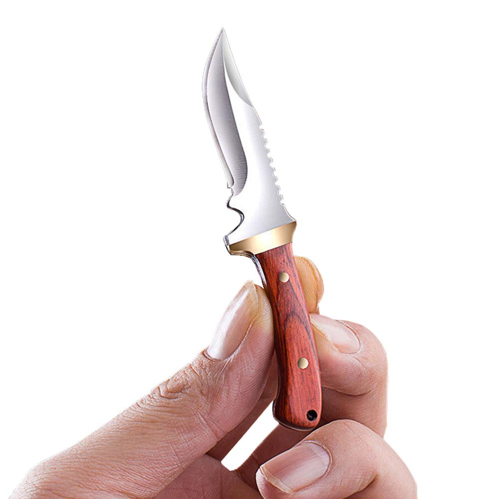 Wood Handle Stainless Steel Tiny Mini Knife Portable Pocket Knife Keychian EDC Multitool Fruit Peeler With Leather Cover Gift