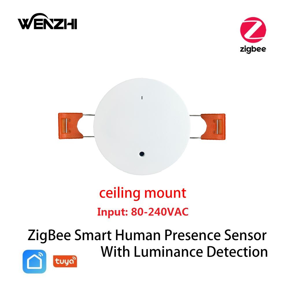 ZigBee Wifi MmWave Menschliche Anwesenheit Bewegungssensor Mit Helligkeits-/Entfernungsdetektion 5/110/220V Tuya Smart Life Hausautomation