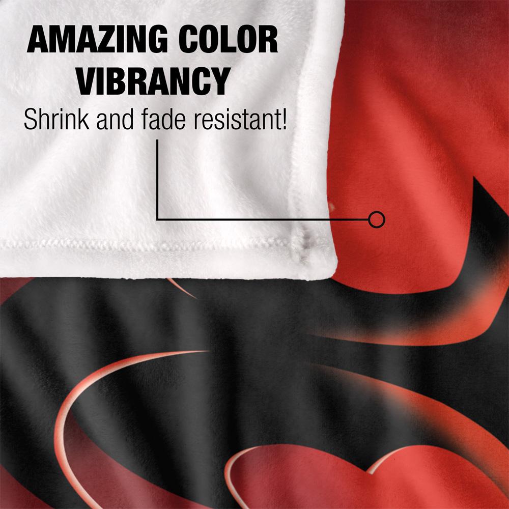 Batman Logo Nightwing Blanket