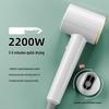 OEING T9 High-Speed Ionic Hair Dryer