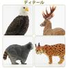 TOYMANY North American Forest Animals Figure Set, 12 Pcs (Hand-Painted, Educational & Display)