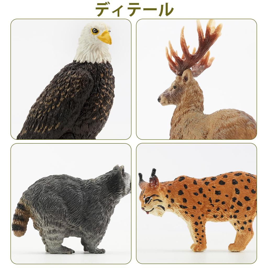 TOYMANY North American Forest Animals Figure Set, 12 Pcs (Hand-Painted, Educational & Display)