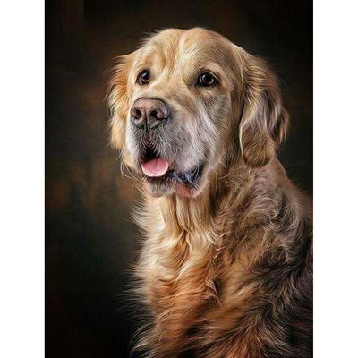 Volle 5D Diy Diamant Malerei Golden Retriever Diamant Stickerei voller Lay Kreuzstich Home Decor handgemachtes Geschenk