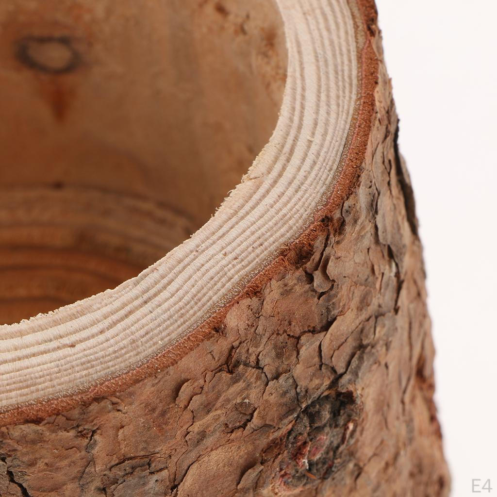 Pflanzen Blumentopf Baumstümpfe Bonsai-Gefäß