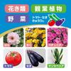 Sumitomo Chemical Gardening Ortran DX Granules Effective Against Aphids and Scarab Larvae Insecticide, 1kg, Systemic,