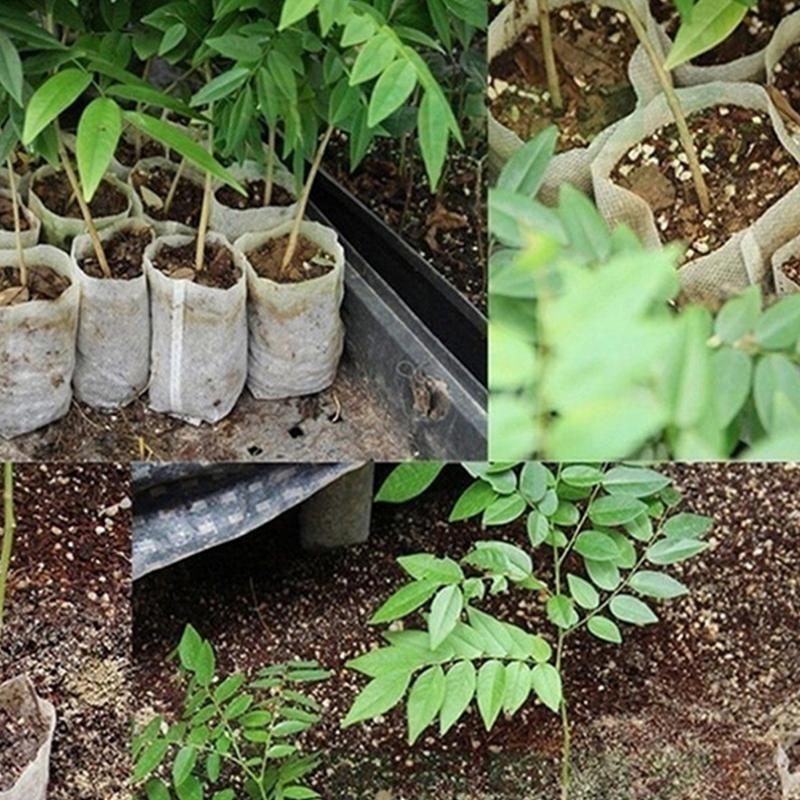 8X10Cm 100Pcs Biodegradable Seed Nursery Bags, Non-Woven Plants Growbags, Fabric Seedling Pots Plants Pouch, Home Garden Supply