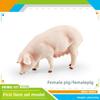 Bauernhoftier PVC Schwein Spielzeugmodell für Kinder zum Lernen und zur Darstellung von Bauernhofszenen