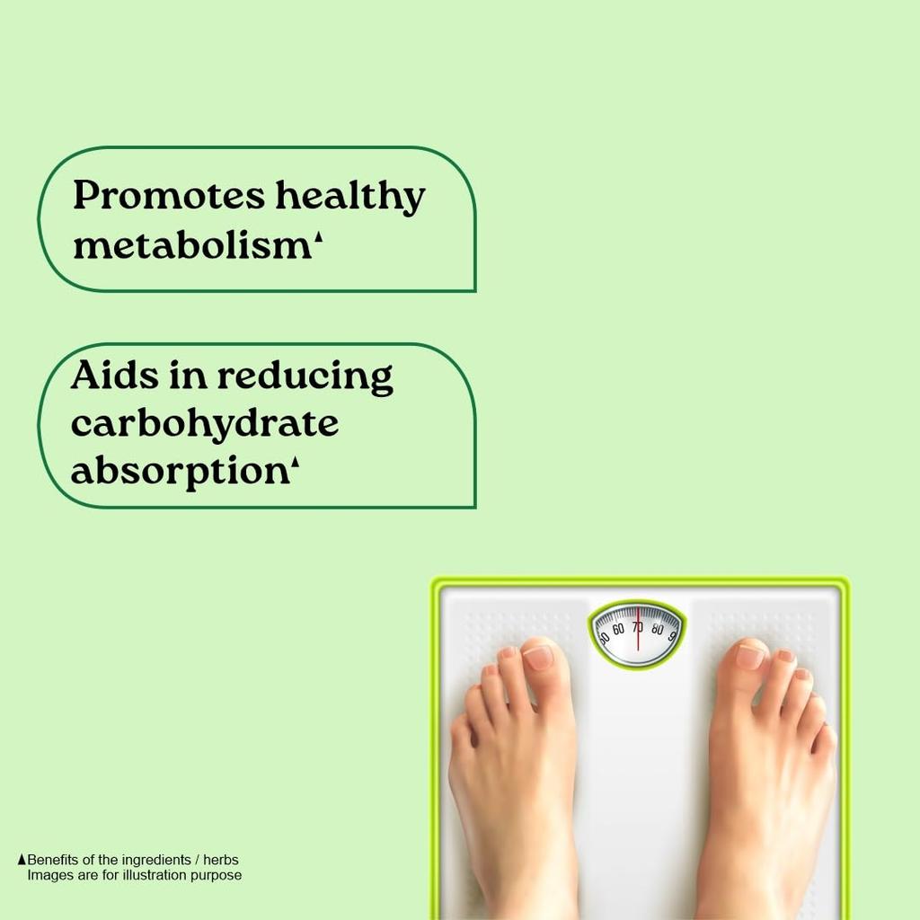 ORGANIC INDIA Weight Balance 60 Veg Kapslí Pro Zdravý Metabolismus A Vyváženou Energii V Rostlinném Složení