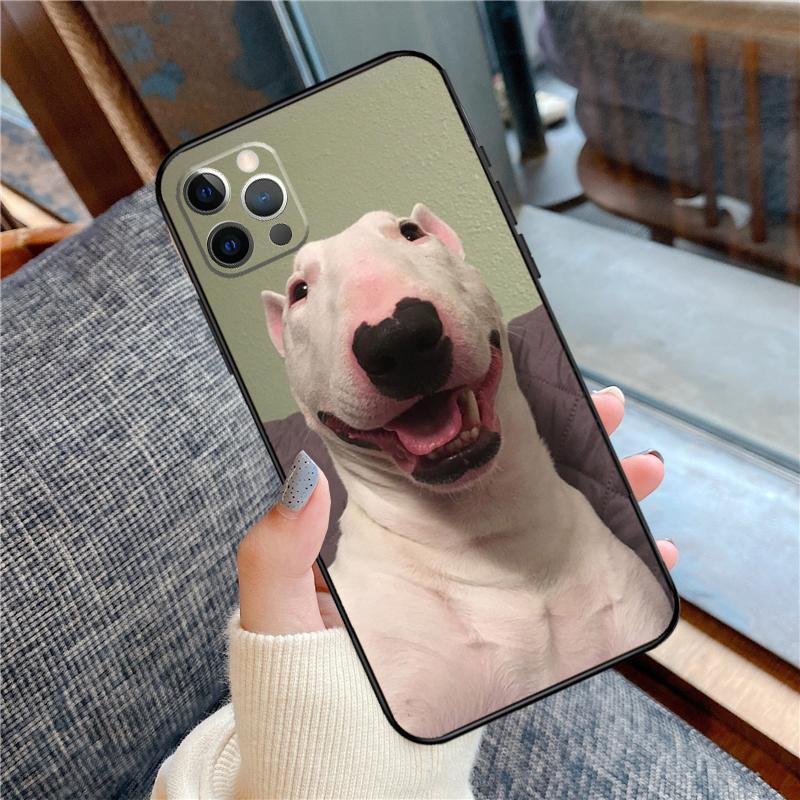 Walter Dog Meme Cute Phone Case For iPhone 16 15 14 13 12 11 Pro Max 12 13 mini XR 15 16 Plus 16e Cover Shell