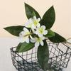Real Touch Artificial Plumeria Flowers DIY with Green Leaves Simulation Frangipani Branch Long Stems Multicolor