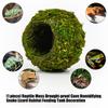 Moisturizing Reptiles Hideaway Cave Grass Woven Moss Shelter Rest Cave for Snake Lizards Terrariums Decoration