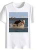Funny Black Cat Riding Shark Graphic Print T-Shirt,Men Women Casual Crew Neck Top,Creative Meme Print Summer Streetwear Tee