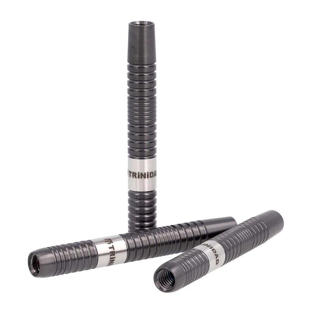 TRiNiDAD PRO LAZY 2BA Darts Terumune Matsuyoshi Model Set,