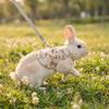 Breathable Guinea Pigs Vest Adjustable Rabbit Leash Set Practical Walking Harness  Training