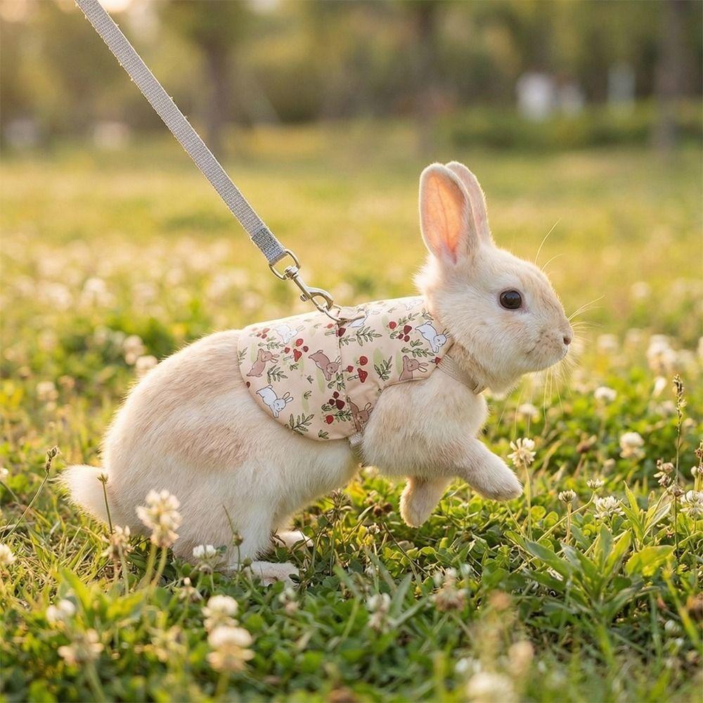 Breathable Guinea Pigs Vest Adjustable Rabbit Leash Set Practical Walking Harness  Training
