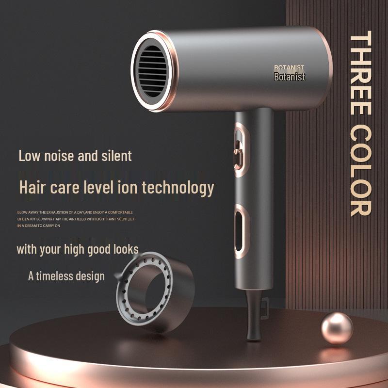 High-Power Quiet Wireless Hair Dryer with Large Airflow and Negative Ion Technology - Germany