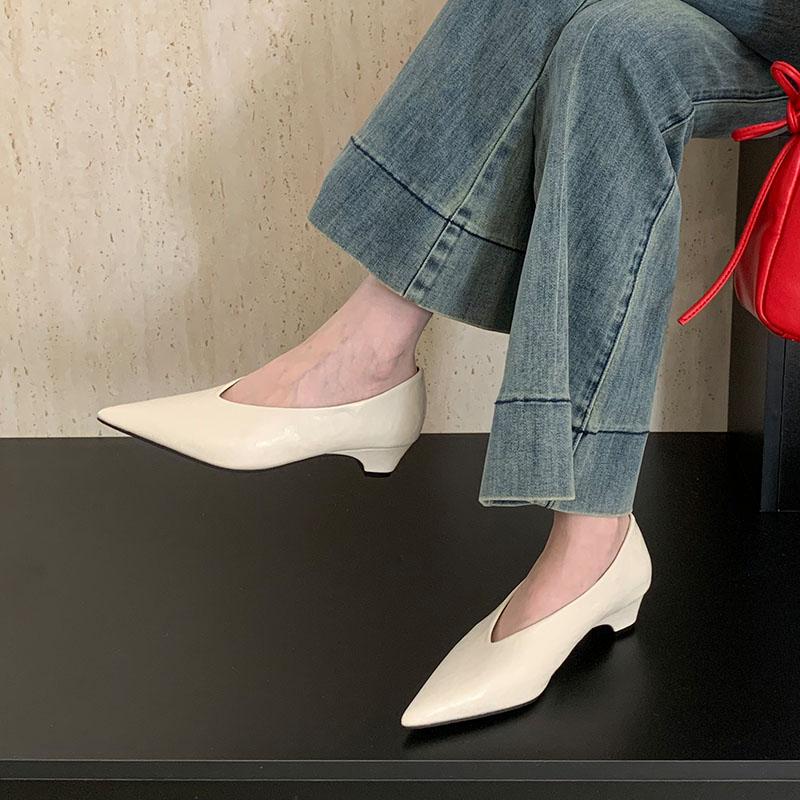Fashion Pointed Toe Footwear Slip On Pumps Women Heeled Shoes Casual Female Fashion Shallow Ladies Low Heel Shoes 2025 New