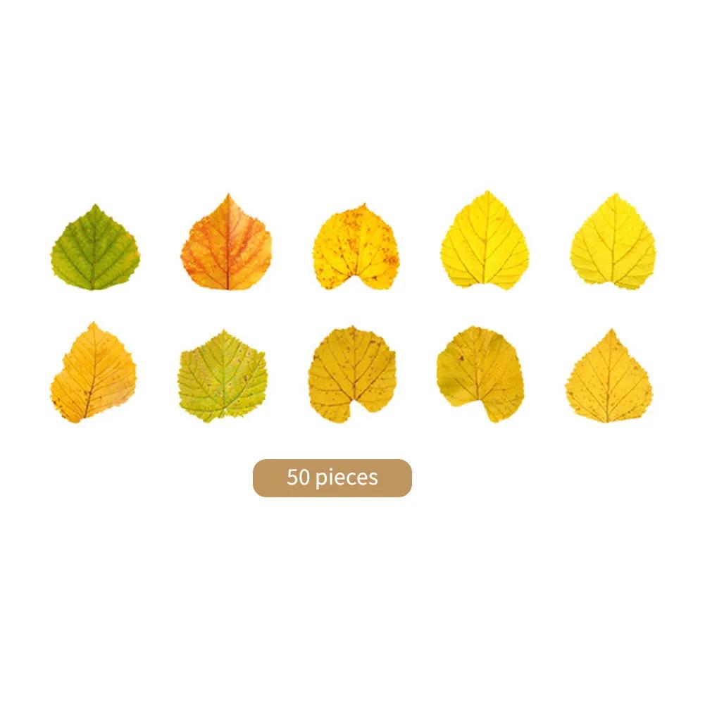 50 Pcs Kawaiii Leaves Washi Tape Scrapbooking Stickers Cute Sticker Rolls Self-adhesive DIY Decoration Stickers For Arts Crafts