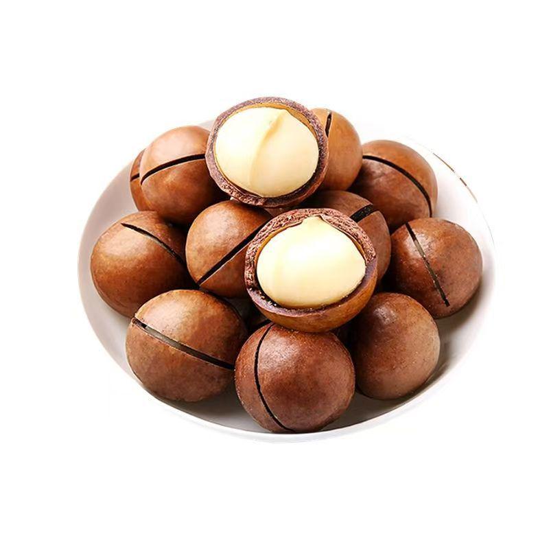 Premium Macadamia Nuts with Creamy Fruit Flavor and Thin Shell