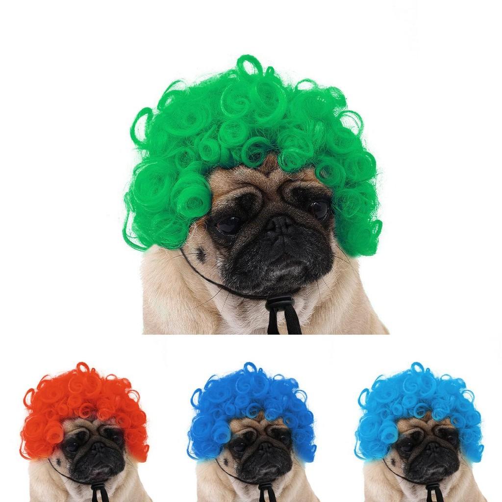 Are 10 Here Suggested Titles For The Pet Wig Product Based On The Information Provided