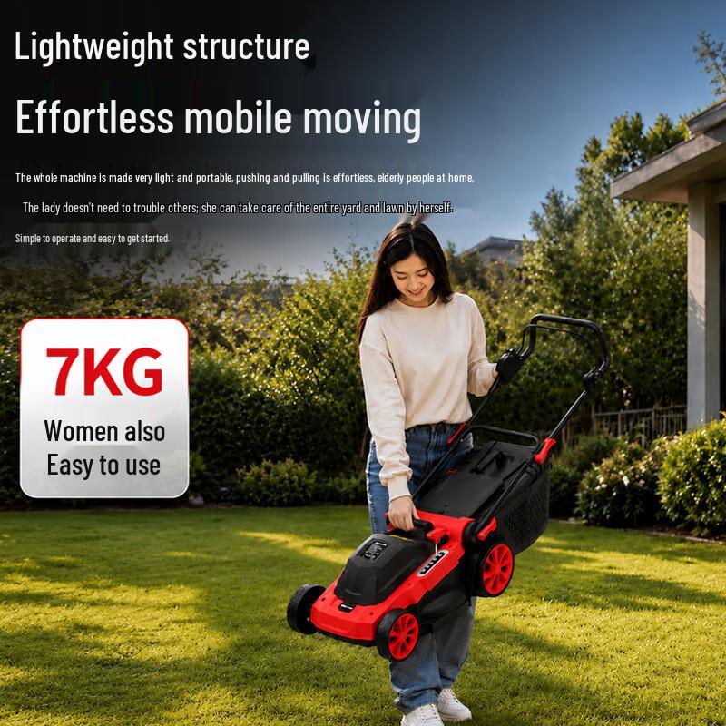 Longlida Cordless Hand-Push Electric Lawn Mower CN plug (adapter included)