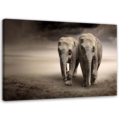 Canvas Print Africa Elephants