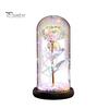 No Maintenance Flower Gift Rose Gifts for Her Mom Wife Grandma Light Up Eternal Lasting in A Dome Romantic Anniversary Birthday Valentine's