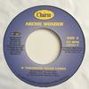 7inch Record ARCHIE WONDER  If Tomorrow Never Comes CRT917 Charm 2002 UK Reggae Ska  Dub Used