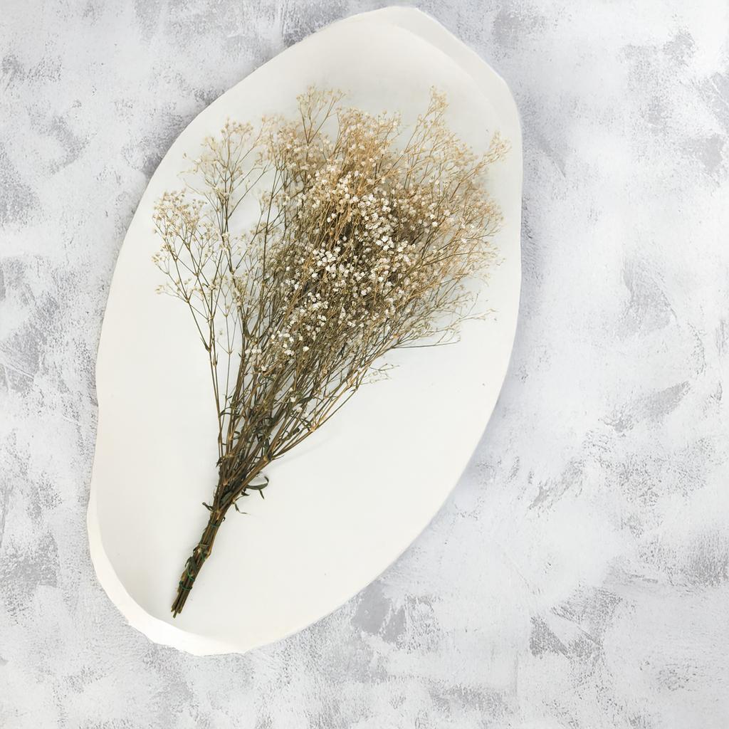 Gipsówka Stabilizowana - (Gypsophila) - Naturalna Biała