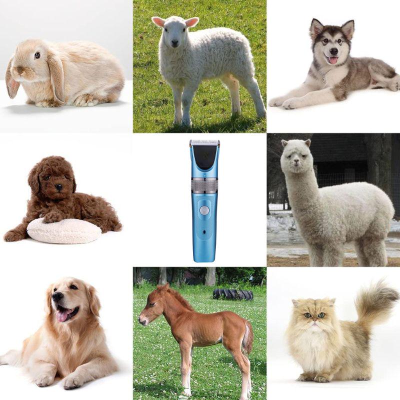 dog grooming clippers